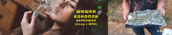дмт Бердск