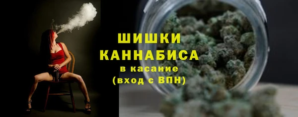 твердый Долгопрудный
