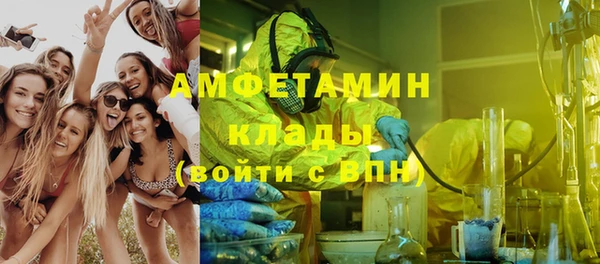 индика Белоозёрский