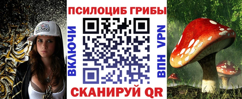 Галлюциногенные грибы MAGIC MUSHROOMS  Гатчина 