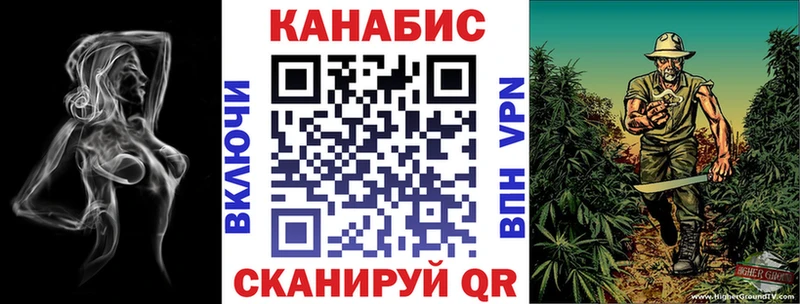 как найти наркотики  Гатчина  Канабис индика 